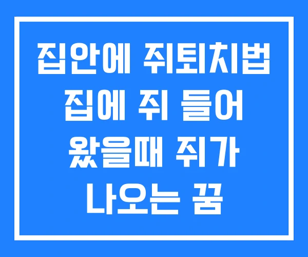 집안에 쥐퇴치법 집에 쥐 들어 왔을때 쥐가 나오는 꿈