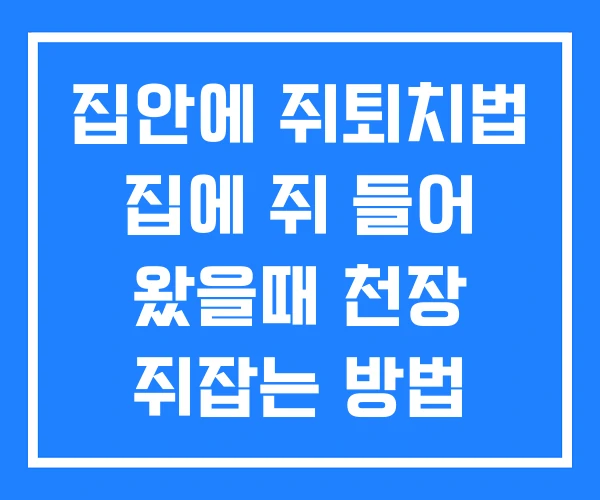 집안에 쥐퇴치법 집에 쥐 들어 왔을때 천장 쥐잡는 방법