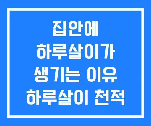 집안에 하루살이가 생기는 이유 하루살이 천적 퇴치법