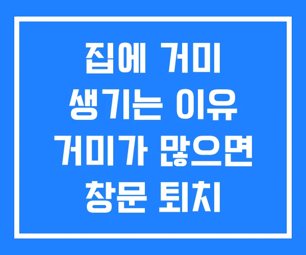 집에 거미 생기는 이유 거미가 많으면 창문 퇴치