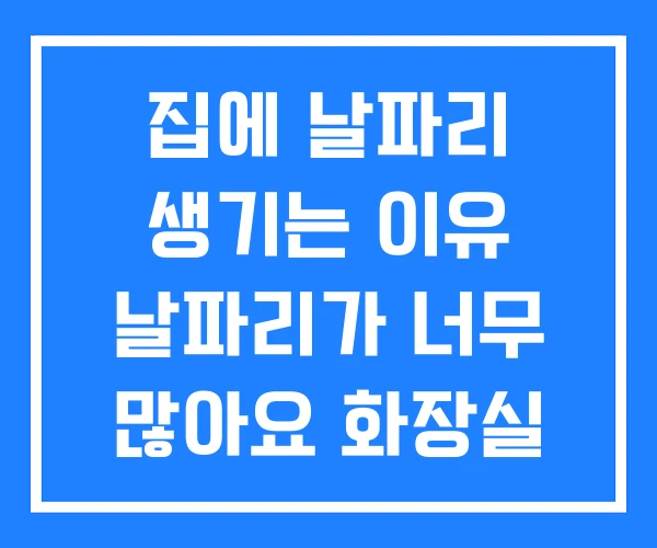 집에 날파리 생기는 이유 날파리가 너무 많아요 화장실 없애는법