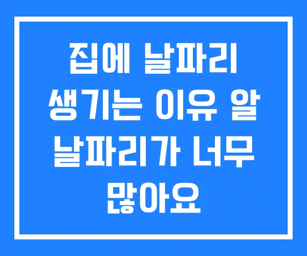 집에 날파리 생기는 이유 알 날파리가 너무 많아요
