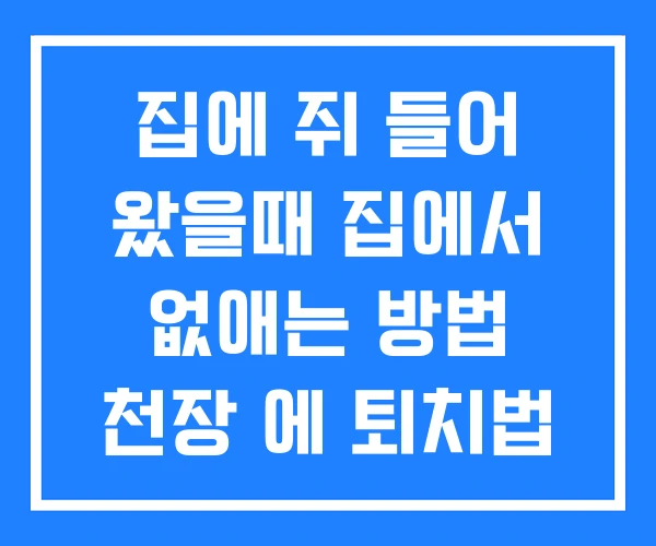 집에 쥐 들어 왔을때 집에서 없애는 방법 천장 에 퇴치법