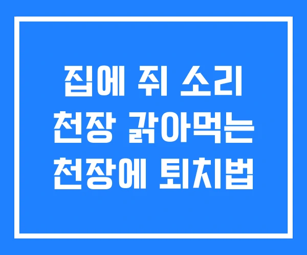 집에 쥐 소리 천장 갉아먹는 천장에 퇴치법 집에 쥐 소리 천장 갉아먹는 천장에 퇴치법