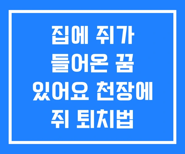 집에 쥐가 들어온 꿈 있어요 천장에 쥐 퇴치법