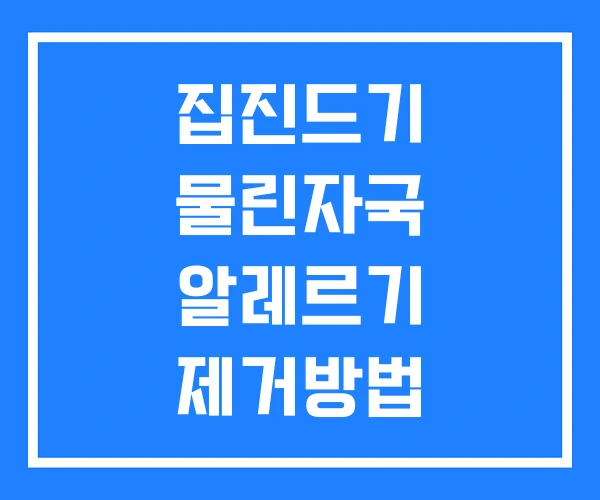 집진드기 물린자국 알레르기 제거방법