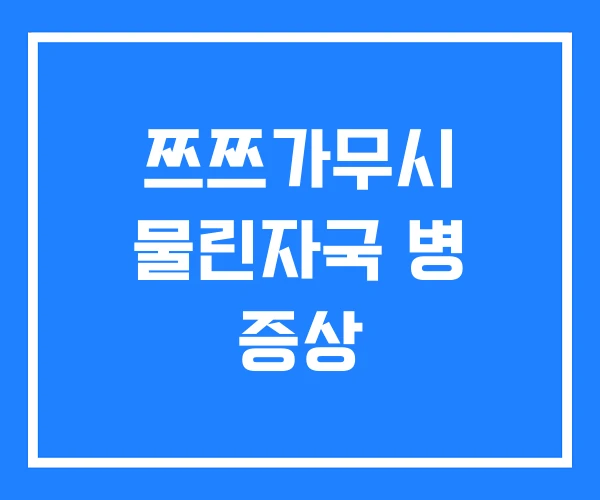 쯔쯔가무시 물린자국 병 증상