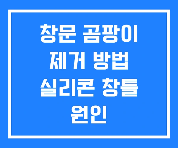 창문 곰팡이 제거 방법 실리콘 창틀 원인