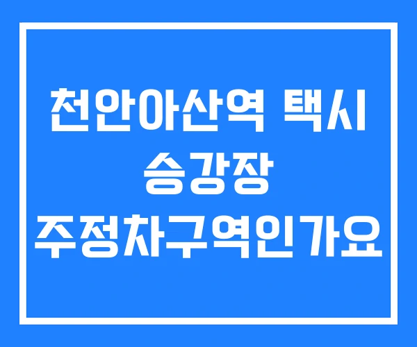 천안아산역 택시 승강장 주정차구역인가요