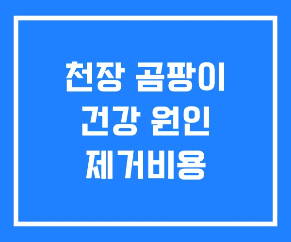 천장 곰팡이 건강 원인 제거비용 천장 곰팡이 건강 원인 제거비용