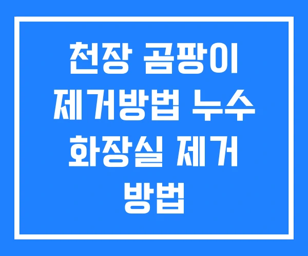 천장 곰팡이 제거방법 누수 화장실 제거 방법