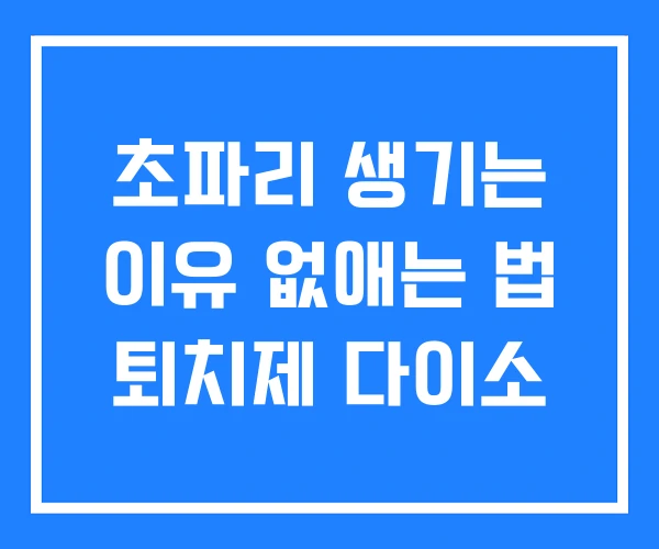 초파리 생기는 이유 없애는 법 퇴치제 다이소