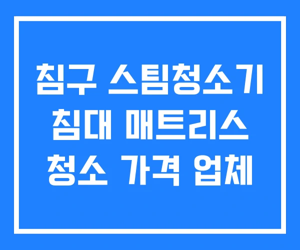 침구 스팀청소기 침대 매트리스 청소 가격 업체 침구 스팀청소기 침대 매트리스 청소 가격 업체