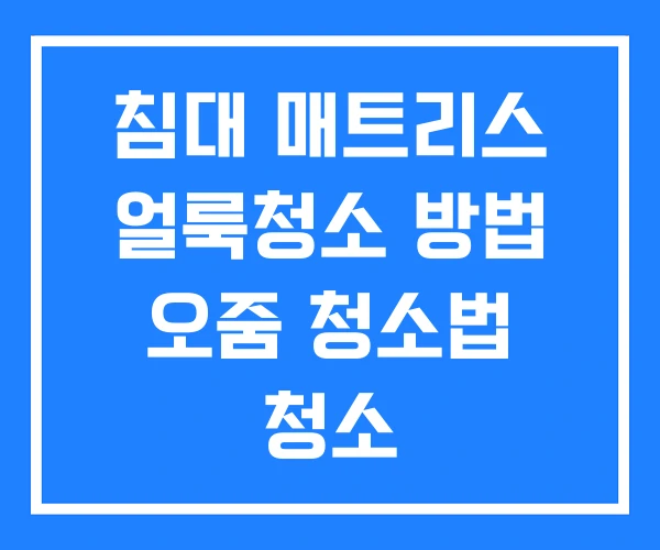 침대 매트리스 얼룩청소 방법 오줌 청소법 청소