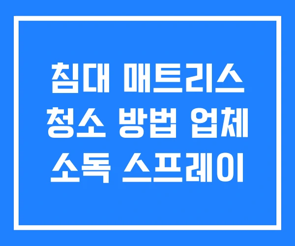 침대 매트리스 청소 방법 업체 소독 스프레이