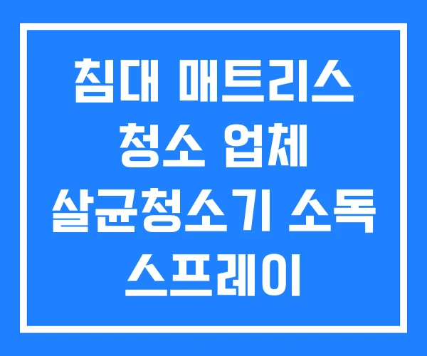침대 매트리스 청소 업체 살균청소기 소독 스프레이