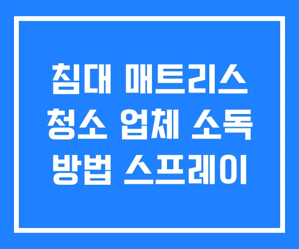 침대 매트리스 청소 업체 소독 방법 스프레이 침대 매트리스 청소 업체 소독 방법 스프레이
