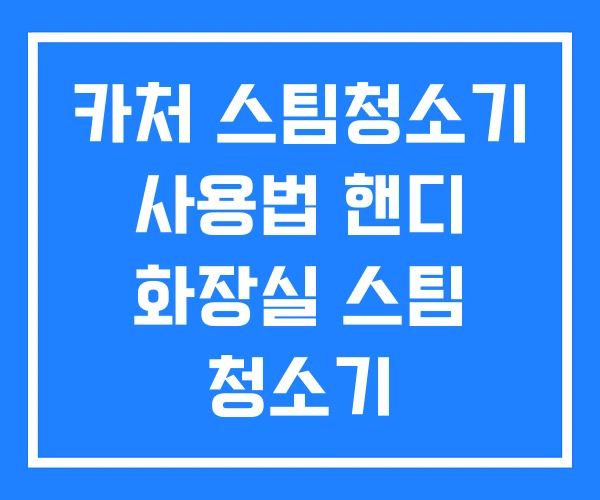 카처 스팀청소기 사용법 핸디 화장실 스팀 청소기