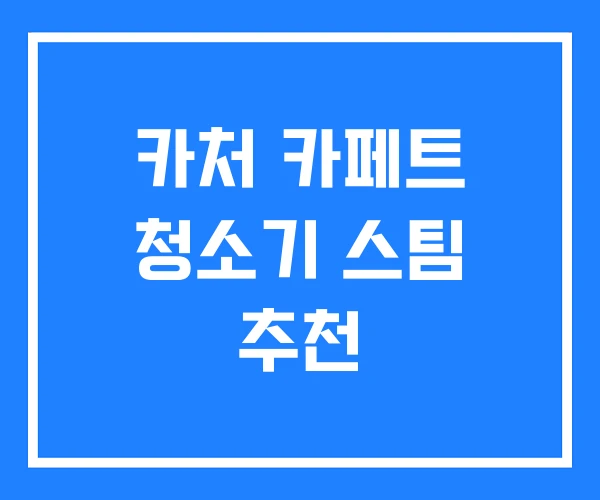 카처 카페트 청소기 스팀 추천