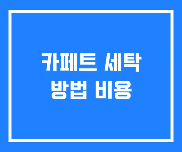 카페트 세탁 방법 비용 카페트 세탁 방법 비용
