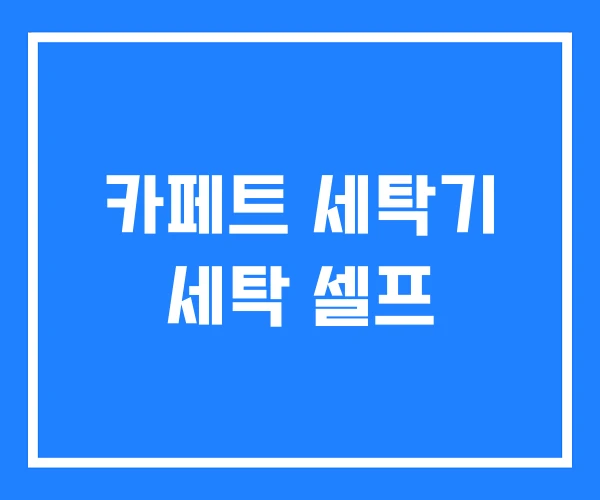 카페트 세탁기 세탁 셀프