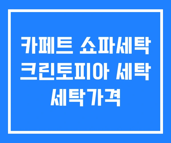 카페트 쇼파세탁 크린토피아 세탁 세탁가격