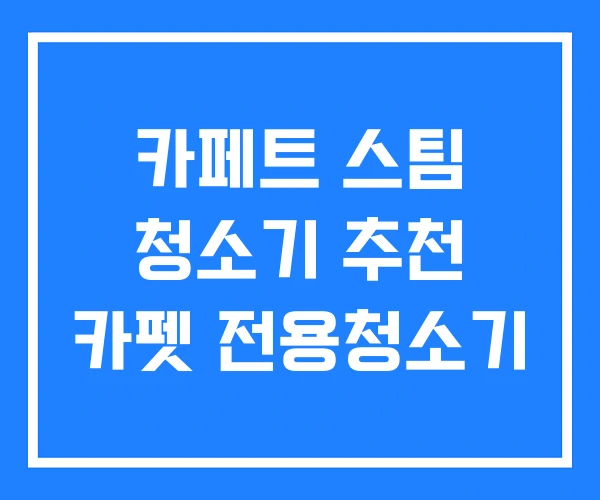 카페트 스팀 청소기 추천 카펫 전용청소기