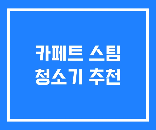 카페트 스팀 청소기 추천 카페트 스팀 청소기 추천