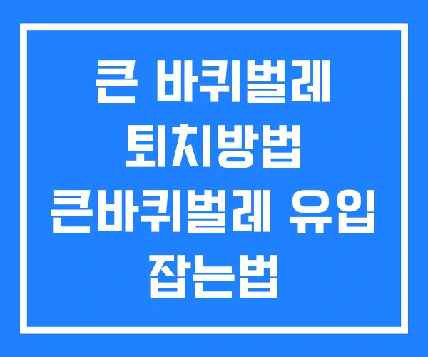 큰 바퀴벌레 퇴치방법 큰바퀴벌레 유입 잡는법 큰 바퀴벌레 퇴치방법 큰바퀴벌레 유입 잡는법