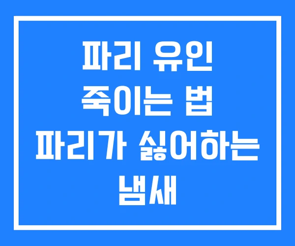 파리 유인 죽이는 법 파리가 싫어하는 냄새