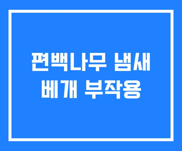 편백나무 냄새 베개 부작용