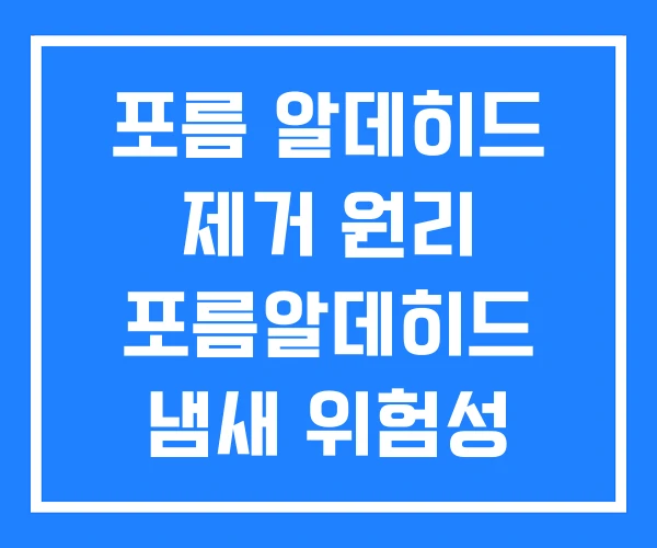포름 알데히드 제거 원리 포름알데히드 냄새 위험성