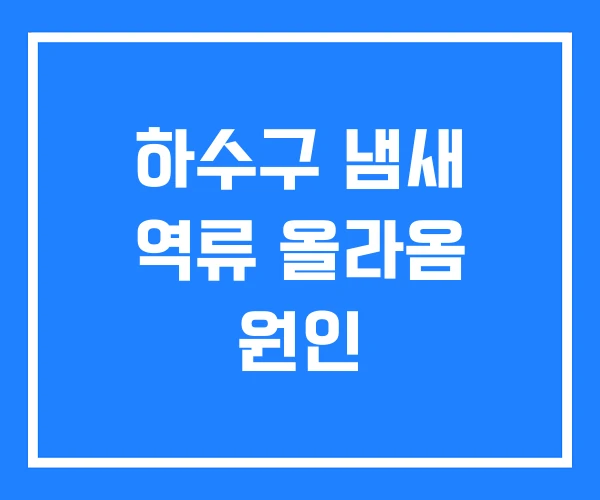 하수구 냄새 역류 올라옴 원인