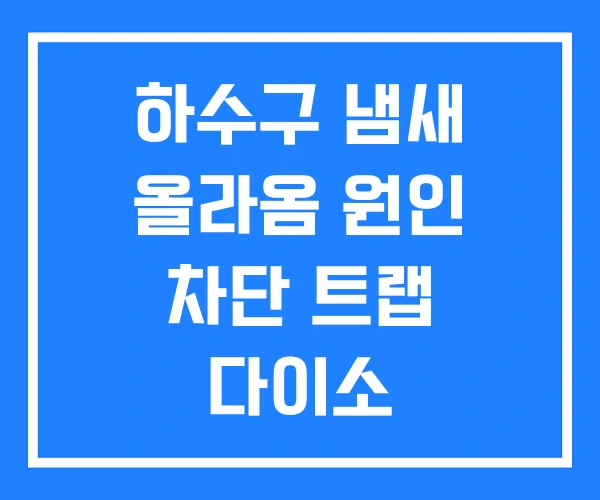 하수구 냄새 올라옴 원인 차단 트랩 다이소