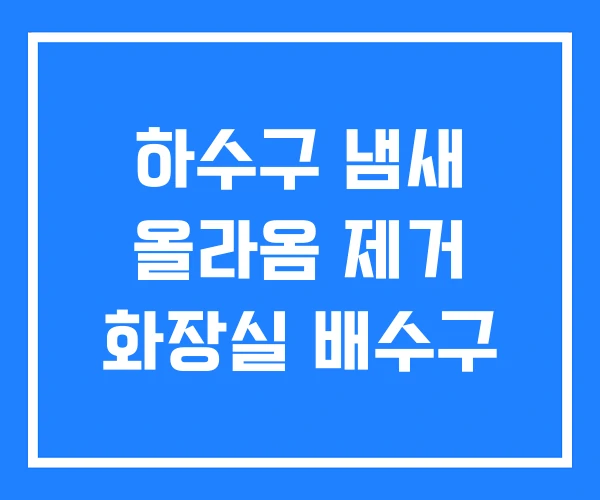 하수구 냄새 올라옴 제거 화장실 배수구