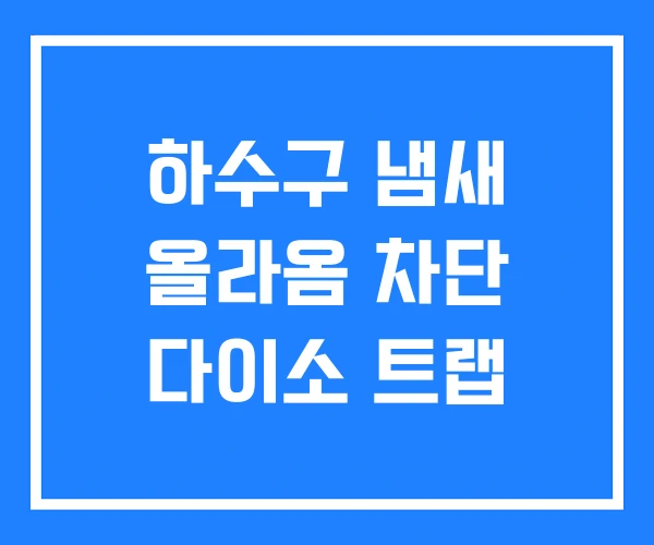하수구 냄새 올라옴 차단 다이소 트랩