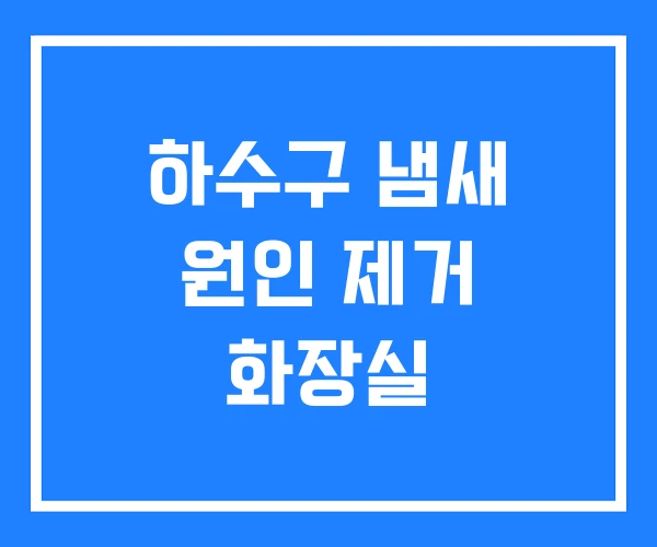 하수구 냄새 원인 제거 화장실 하수구 냄새 원인 제거 화장실