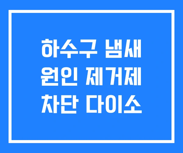 하수구 냄새 원인 제거제 차단 다이소