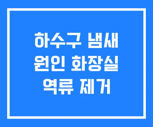 하수구 냄새 원인 화장실 역류 제거 하수구 냄새 원인 화장실 역류 제거