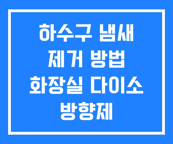 하수구 냄새 제거 방법 화장실 다이소 방향제 하수구 냄새 제거 방법 화장실 다이소 방향제
