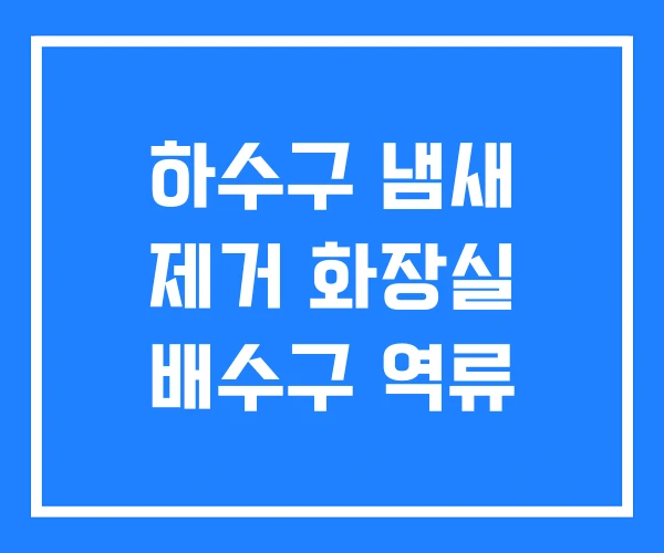 하수구 냄새 제거 화장실 배수구 역류 하수구 냄새 제거 화장실 배수구 역류