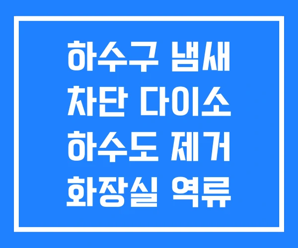 하수구 냄새 차단 다이소 하수도 제거 화장실 역류 하수구 냄새 차단 다이소 하수도 제거 화장실 역류