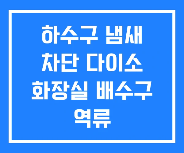 하수구 냄새 차단 다이소 화장실 배수구 역류 하수구 냄새 차단 다이소 화장실 배수구 역류