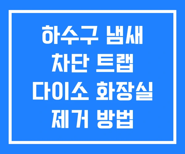 하수구 냄새 차단 트랩 다이소 화장실 제거 방법