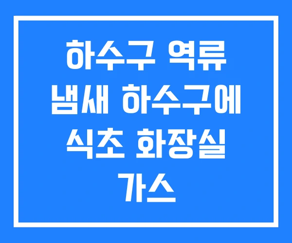 하수구 역류 냄새 하수구에 식초 화장실 가스