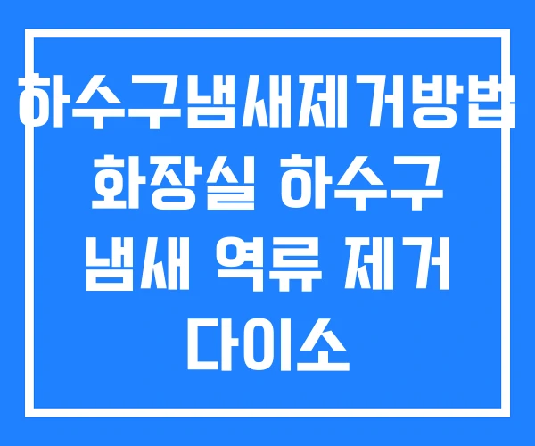 하수구냄새제거방법 화장실 하수구 냄새 역류 제거 다이소 하수구냄새제거방법 화장실 하수구 냄새 역류 제거 다이소