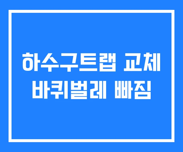하수구트랩 교체 바퀴벌레 빠짐 하수구트랩 교체 바퀴벌레 빠짐