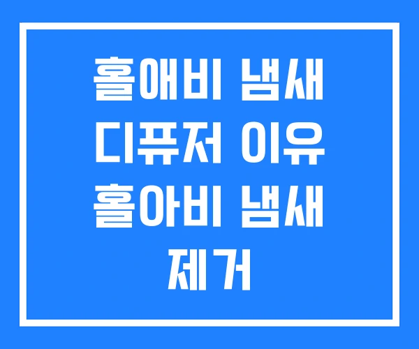 홀애비 냄새 디퓨저 이유 홀아비 냄새 제거