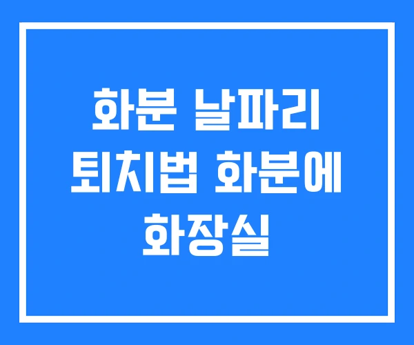 화분 날파리 퇴치법 화분에 화장실