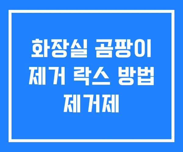 화장실 곰팡이 제거 락스 방법 제거제